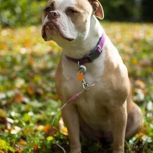 Meet your Posher, Laurel